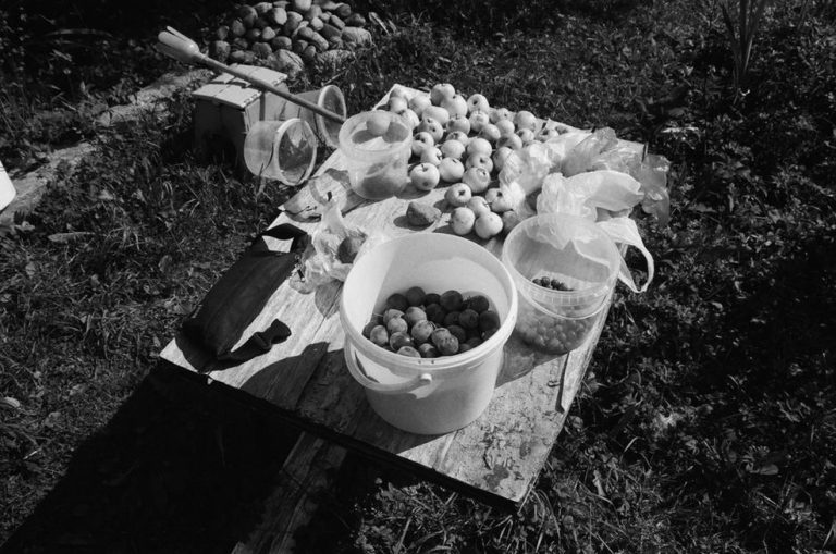 tradicionalna dalmatinska jela na stolu