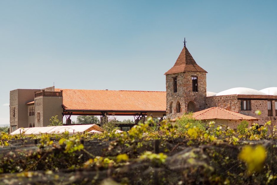 Stara kamena zgrada u vinogradu