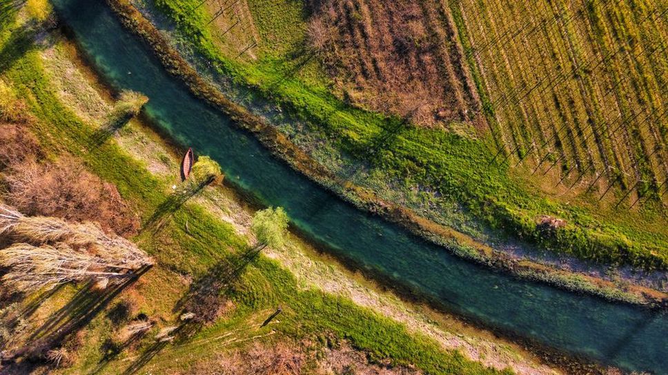 Vinogradi u Dalmaciji s pogledom na more