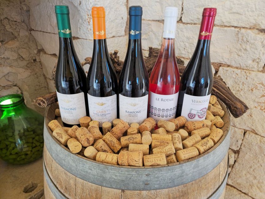 Degustacija vina u dalmatinskoj vinariji