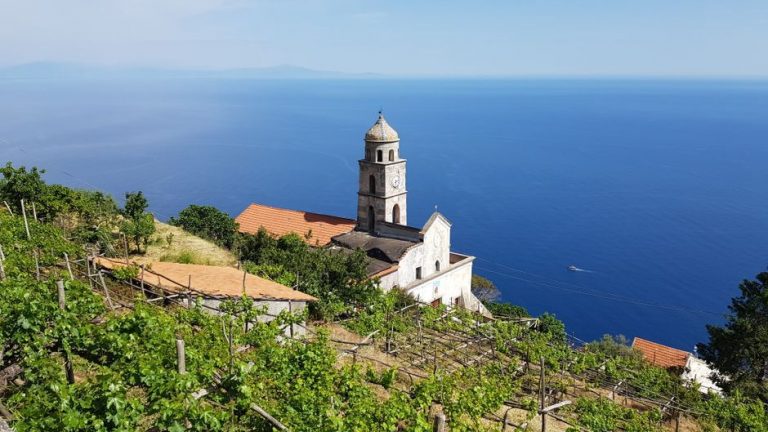 Kamene terase vinograda spuštaju se prema moru