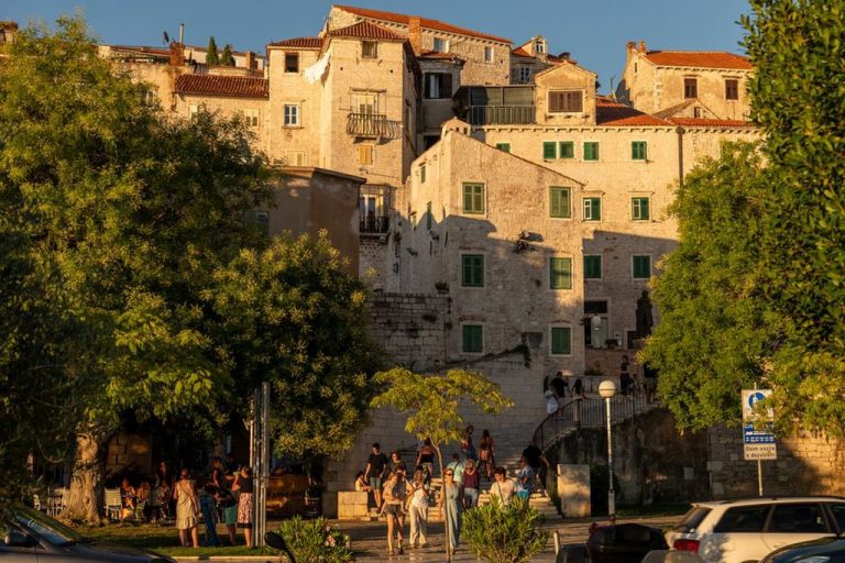 Vinograd omeđen suhozidima u dalmatinskom kršu