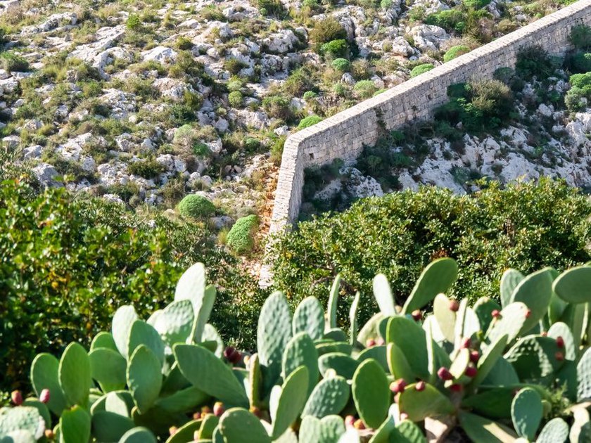 Vinogradi i suhozidi uz seoski put