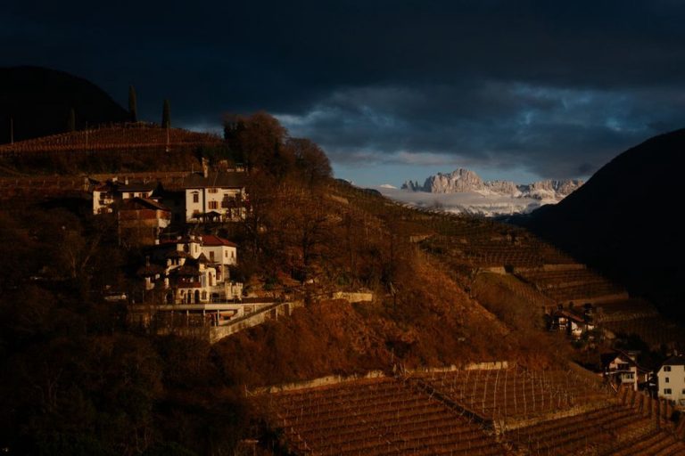 Kamene terase vinograda iznad dalmatinskog sela