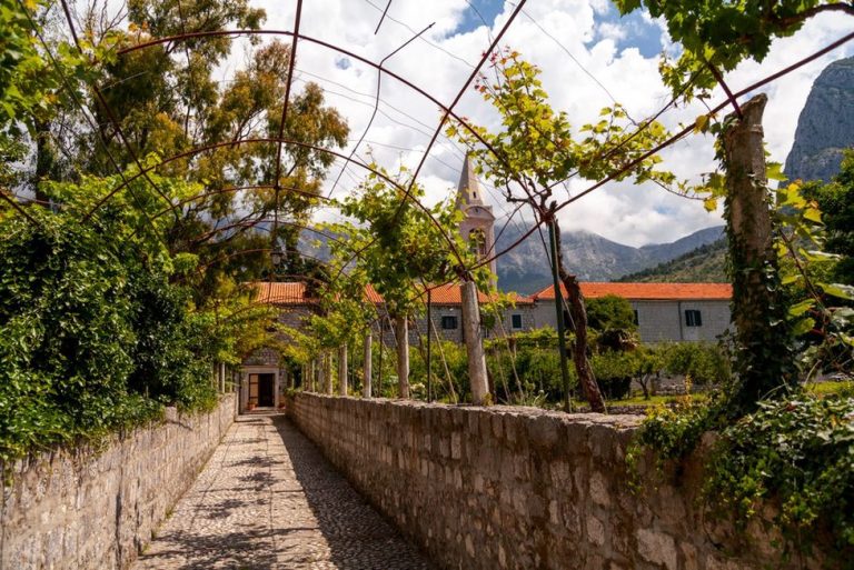 Vinograd omeđen suhozidom u dalmatinskom zaleđu