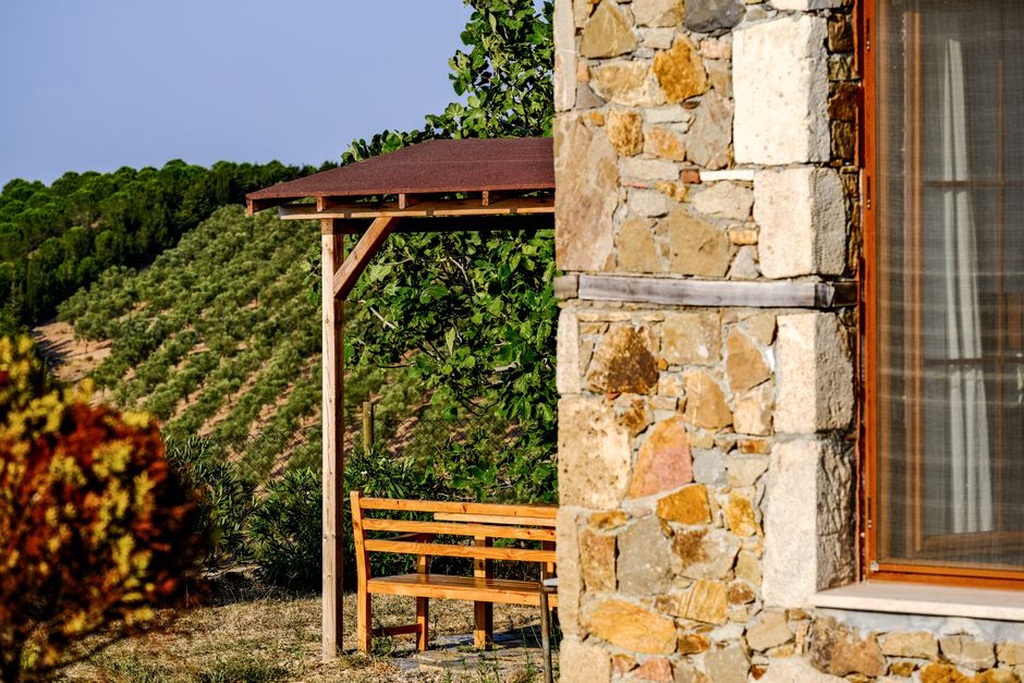 Mali vinograd uz obnovljenu kamenu kuću