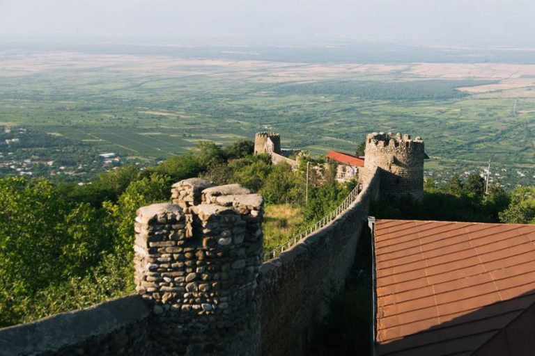 Redovi loze među kamenim međama u zaleđu