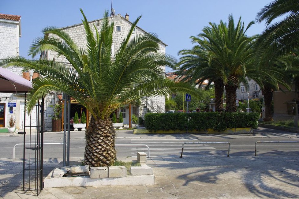 tradicionalna kuća u dalmatinskom selu