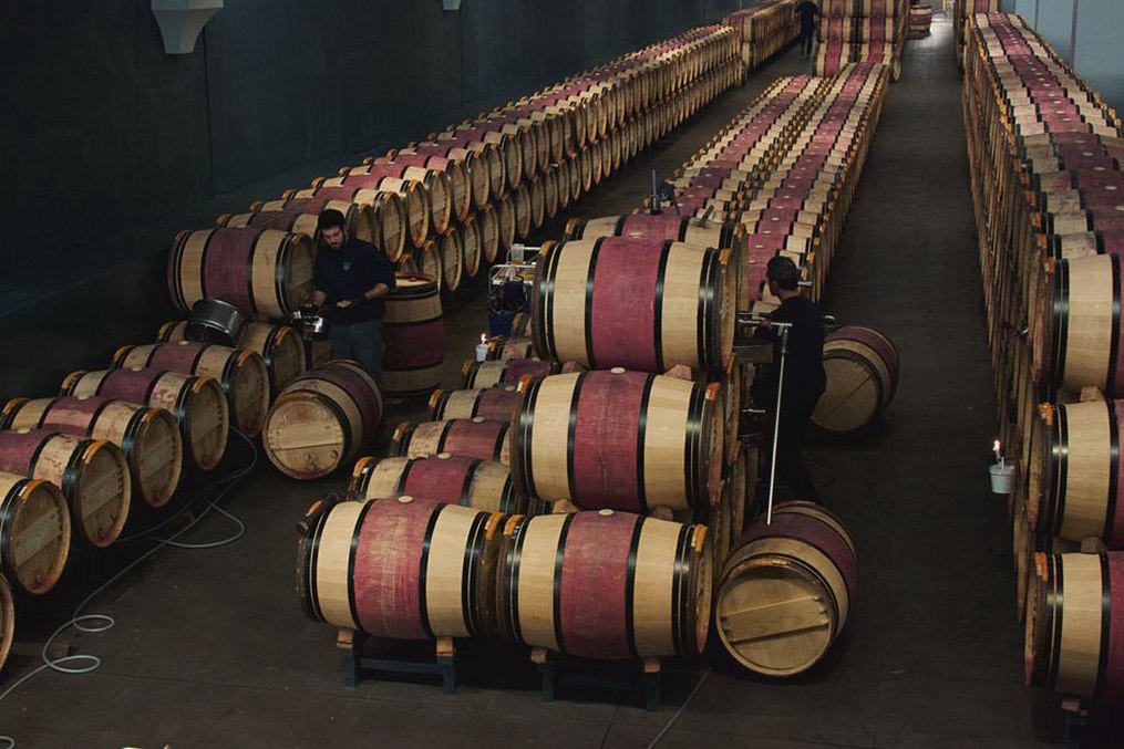 Vinar provjerava dozrijevanje vina u bačvi