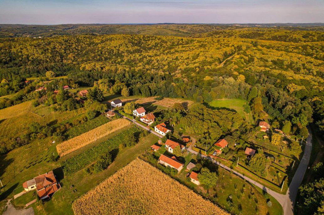 Skiciranje vinograda s puta iznad sela