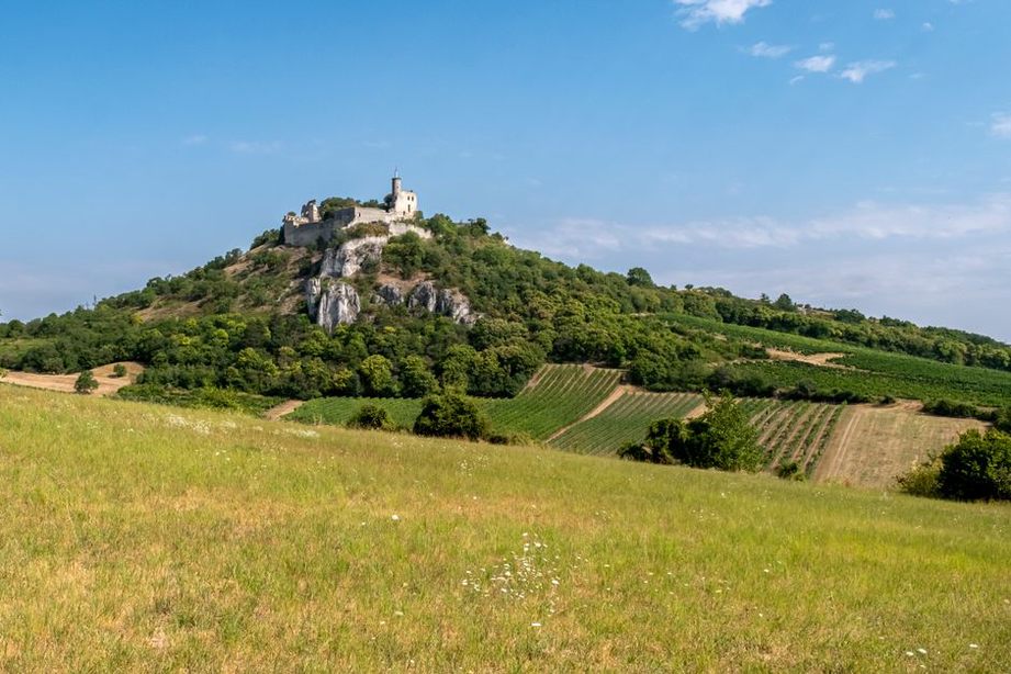 Obrađeni trsovi na kamenim terasama iznad sela